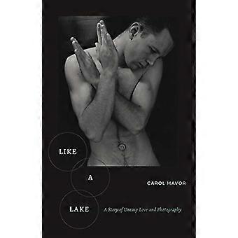 Comme un lac: une histoire d’amour et de photographie inquiète
