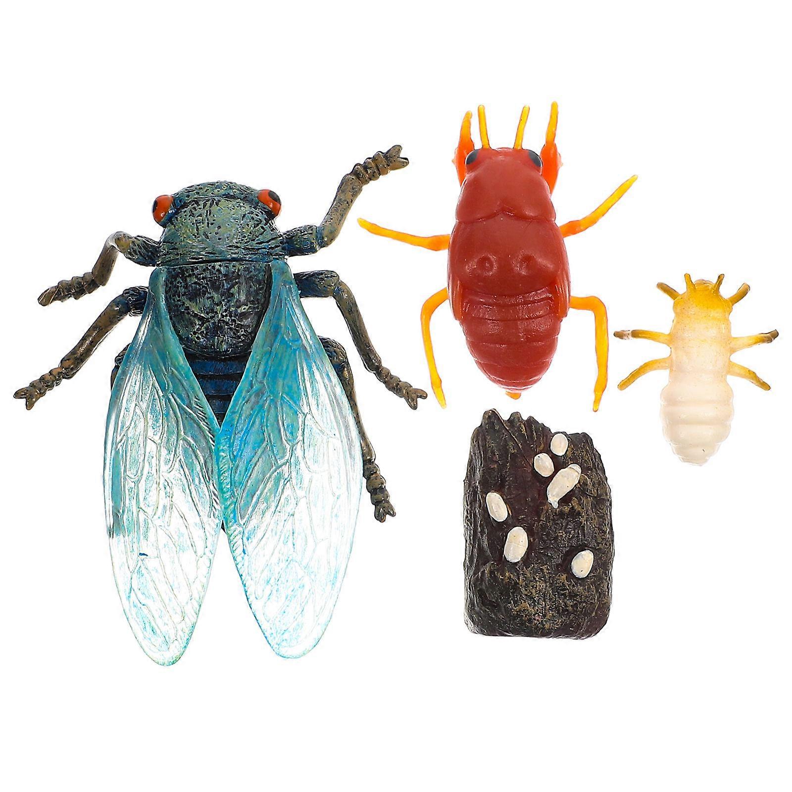 Cicada Model Set Simulation Cicada Growth Cycle Ornaments Display 3Sets