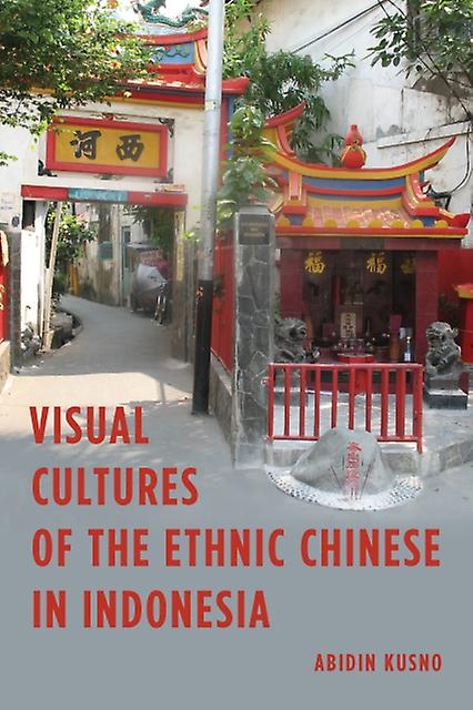 Visual Cultures Of The Ethnic Chinese In Indonesia by Abidin Kusno Paperback Book