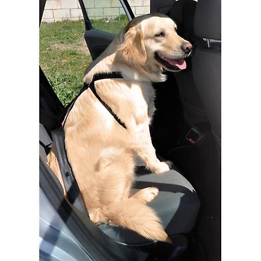 Nayeco Cane sicurezza di guida imbracatura 