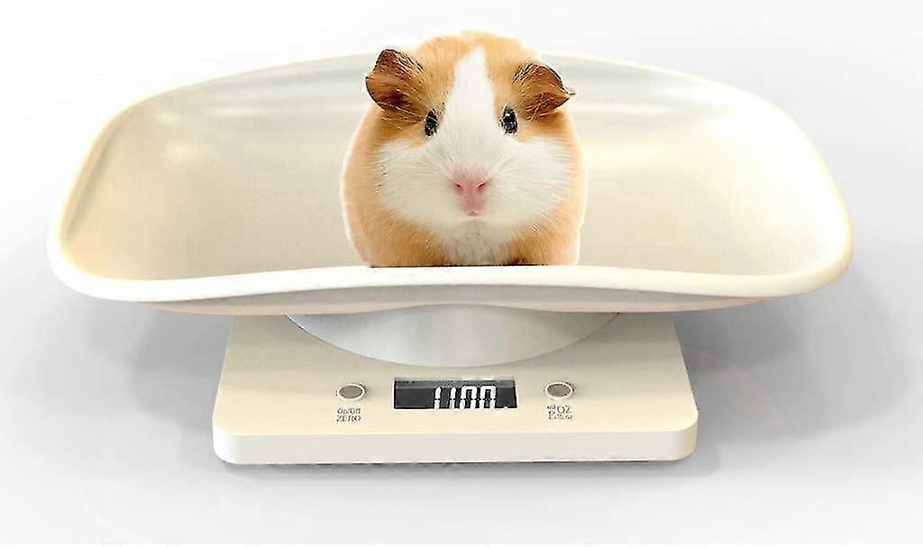 Digital Pet Scale With Lcd Display, 4 Weighting Modes (oz/ml/lb/g) For Pets And Kitchen