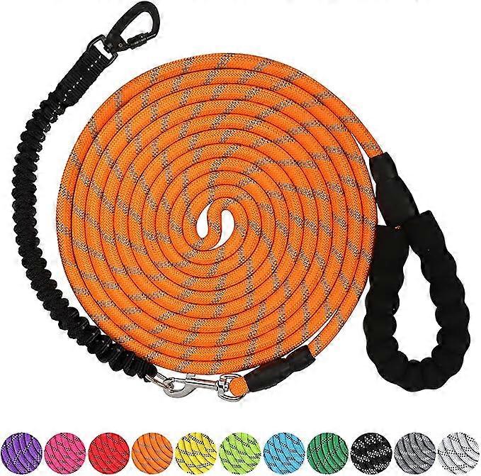 Dog Leash 10m Heavy Duty Leash with Swivel Lockable Hook and ,Reflective Threads Bungee Dog Leash Comfortable Padded Handle for Walking for Small Me