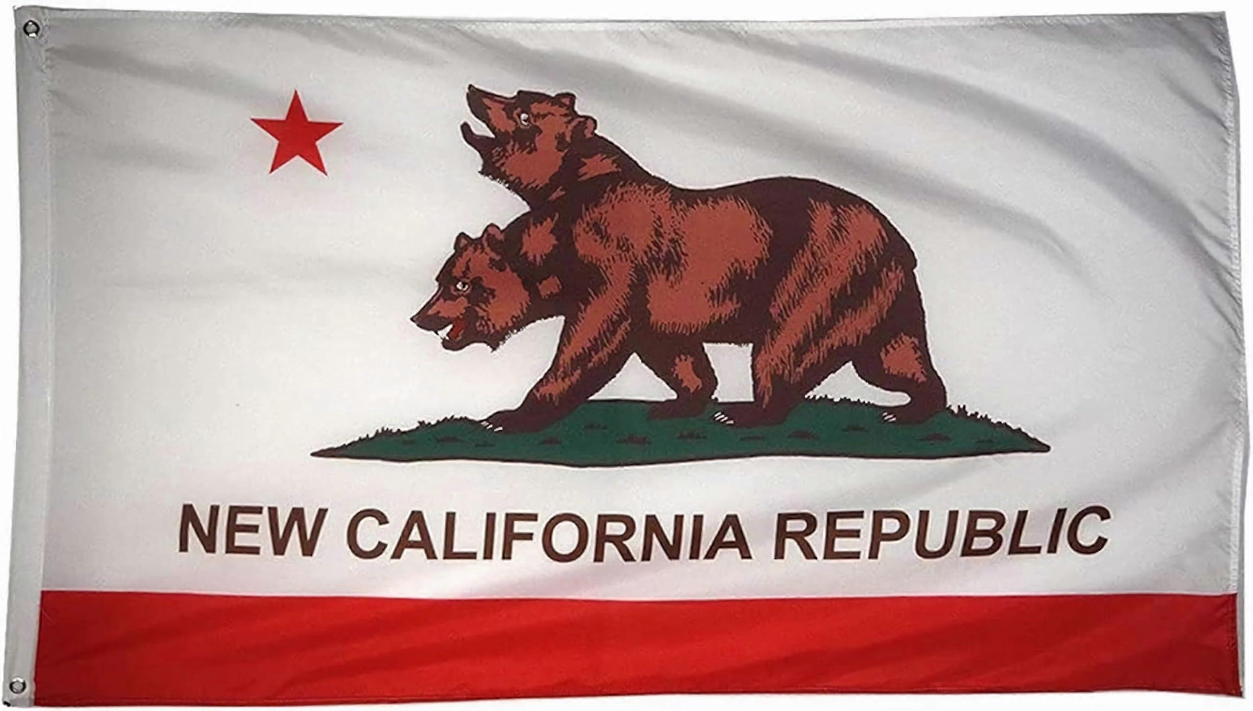 California Republic Polyester Flag 3x5 Ft Polyester Material California State Flag 3x5 Size