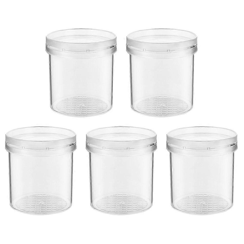5Pcs Viewer Box Magnifying Box Magnifier Container Box Science Nature Exploration Tools