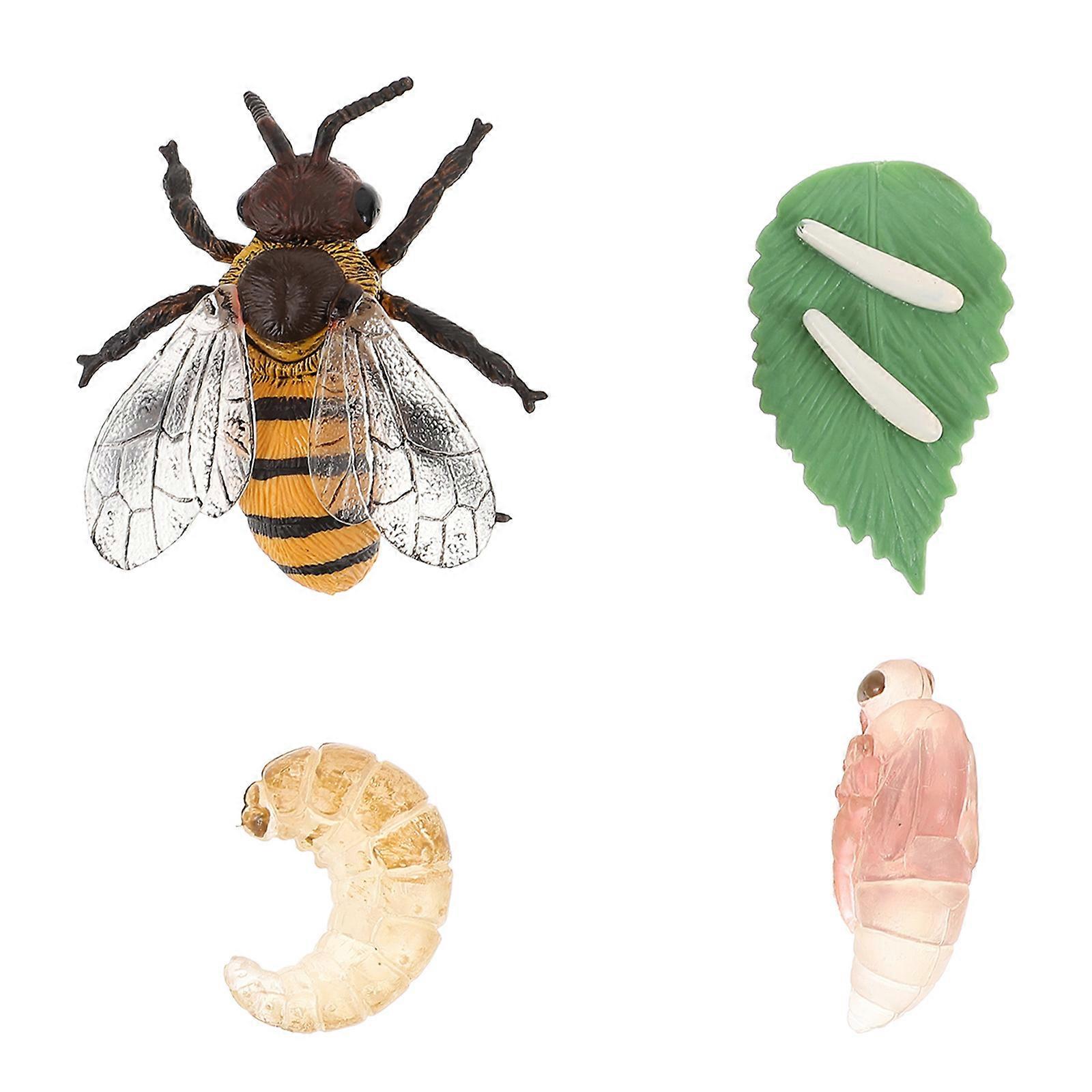 Miniature Growth Model 1 Set Of Honey Cycle Toys Ideal For Kids Teaching Props To Enhance Cognitive Skills And Understanding Of Nature