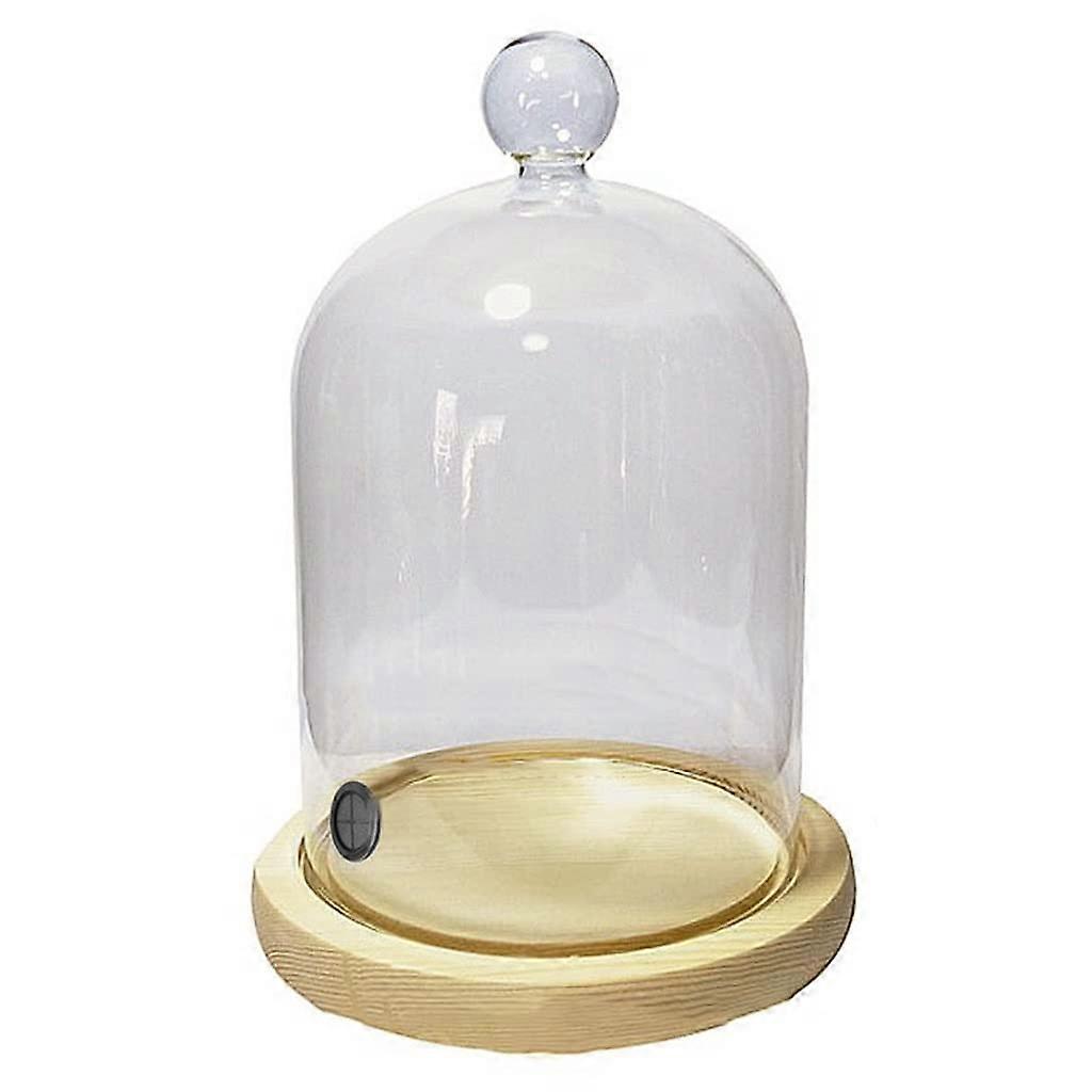 Glass Pointed Dome with Base Smoking Cloche Cover For Plates, Bowls And Glasses Smoke Infuser Size 15cm x 25cm