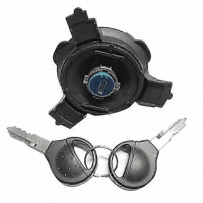 Car Fuel Tank Inner Cover with Lock and Two Keys for 206 207 C2 Models