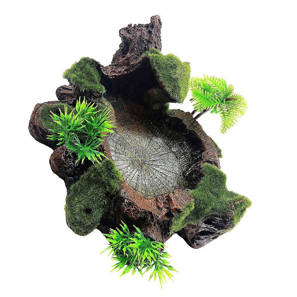 Stable And Sturdy Reptile Feeder Bowl For All Reptile Needs Reptile Food Water Dish Firm And Stable