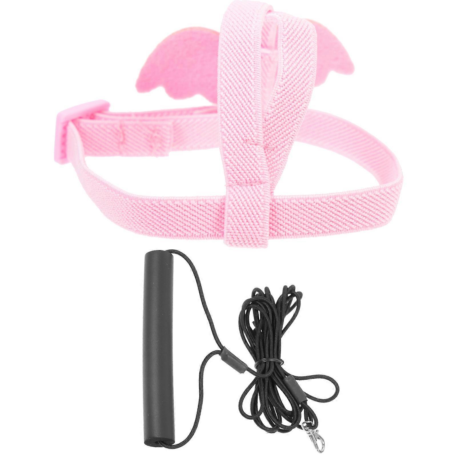 Parrot Harness Leash for Bird Fly Training 4Sets Rope