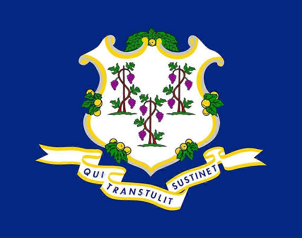 Connecticut Flag -