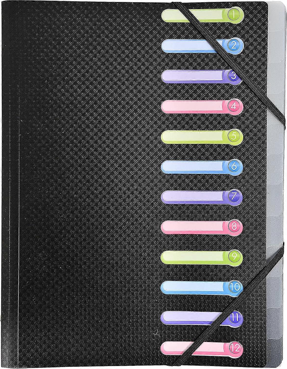 12-compartment opaque polypropylene file organizer