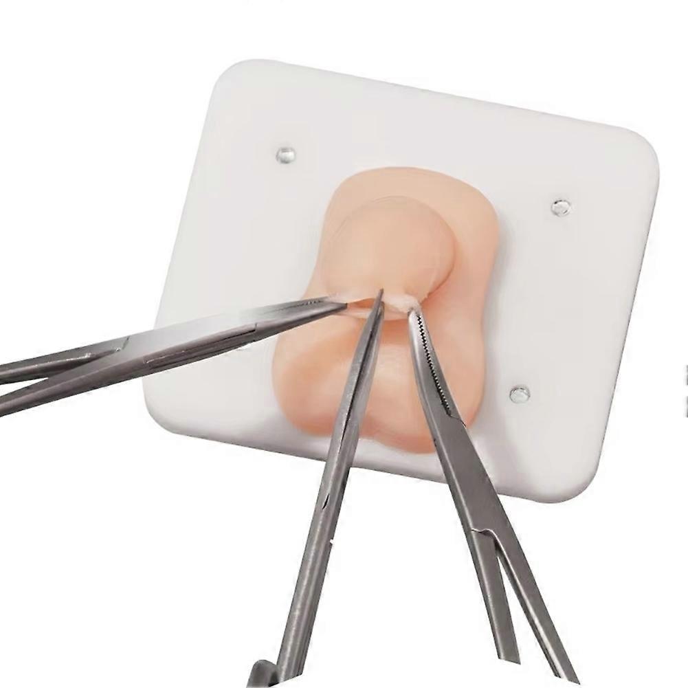 Infant Circumcision Training Model, Student Teaching Surgery Circumcision Model for Surgical Practice