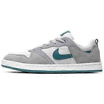 Nike Alleyoop Sb Particle Grey Geode Teal CJ0882-003