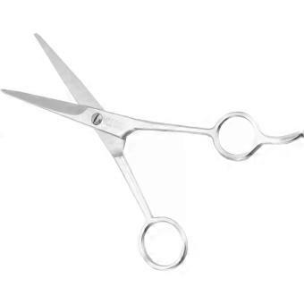 6.5 Inch Professional Hair Scissors Stainless Steel Straight Cut