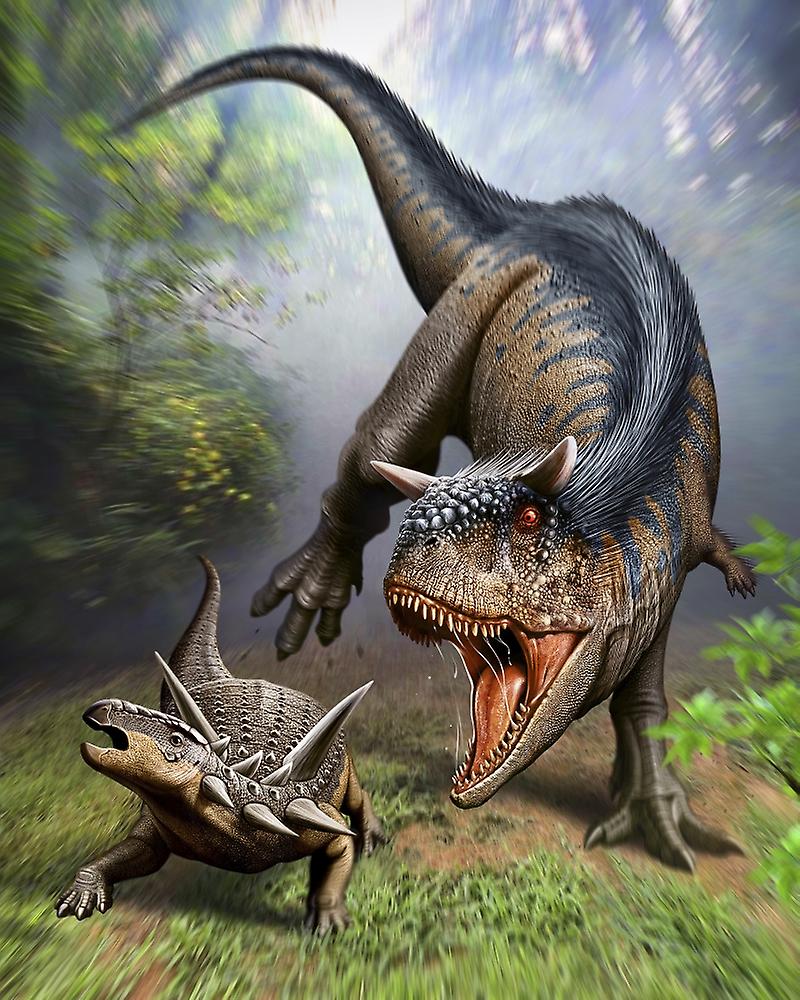 Carnotaurus attacking an Antarctopelta armored dinosaur. Poster