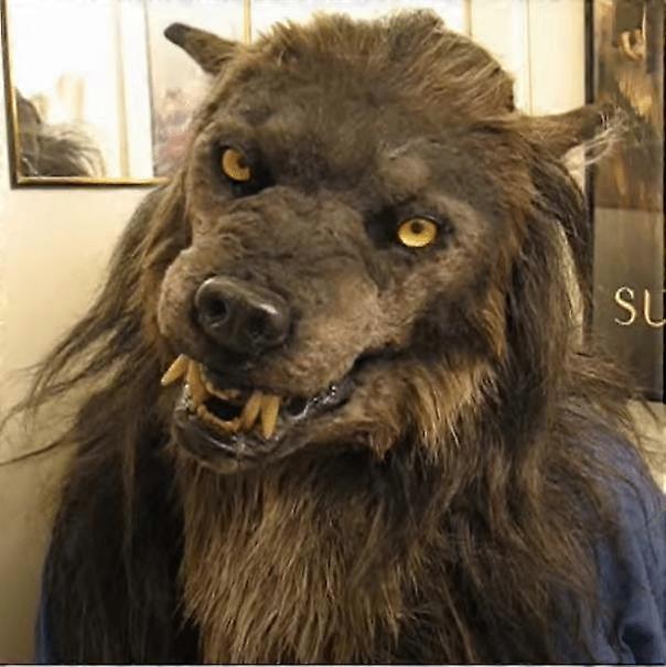 Halloween Creepy Mask Animal Mask Full Head Cosplay Costume Latex Headgear