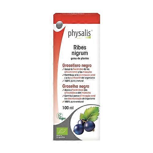 Black Currant Extract (Ribes N.) Bio 100 ml