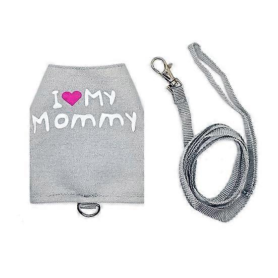 Lizard Reptile Leash Harness Set Adjustable Small Animal Harness with Traction Rope for Bearded Dragon Chameleons Outdoor Walking
