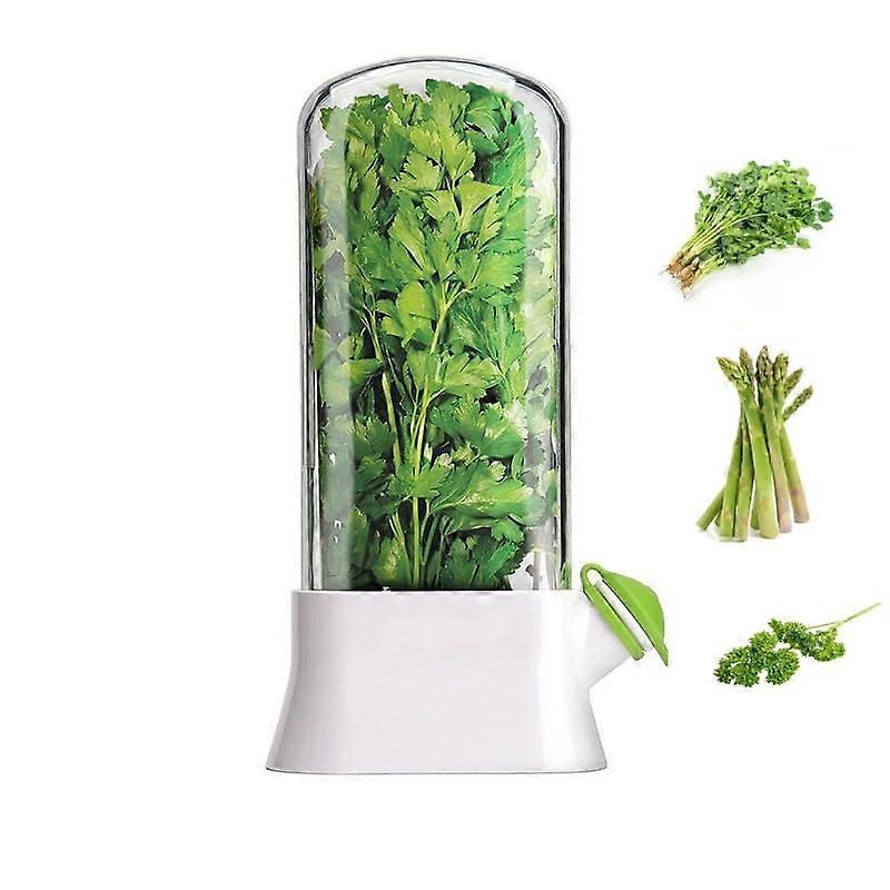 Cilantro Fresh Containers Large Capacity Herb Keeper for Mint Asparagus Storage Clear Refrigerator Organizer