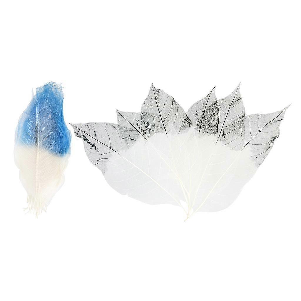 100 Stuks Natuurlijke Magnolia Skelet Bladeren Kaart Embossing DIY