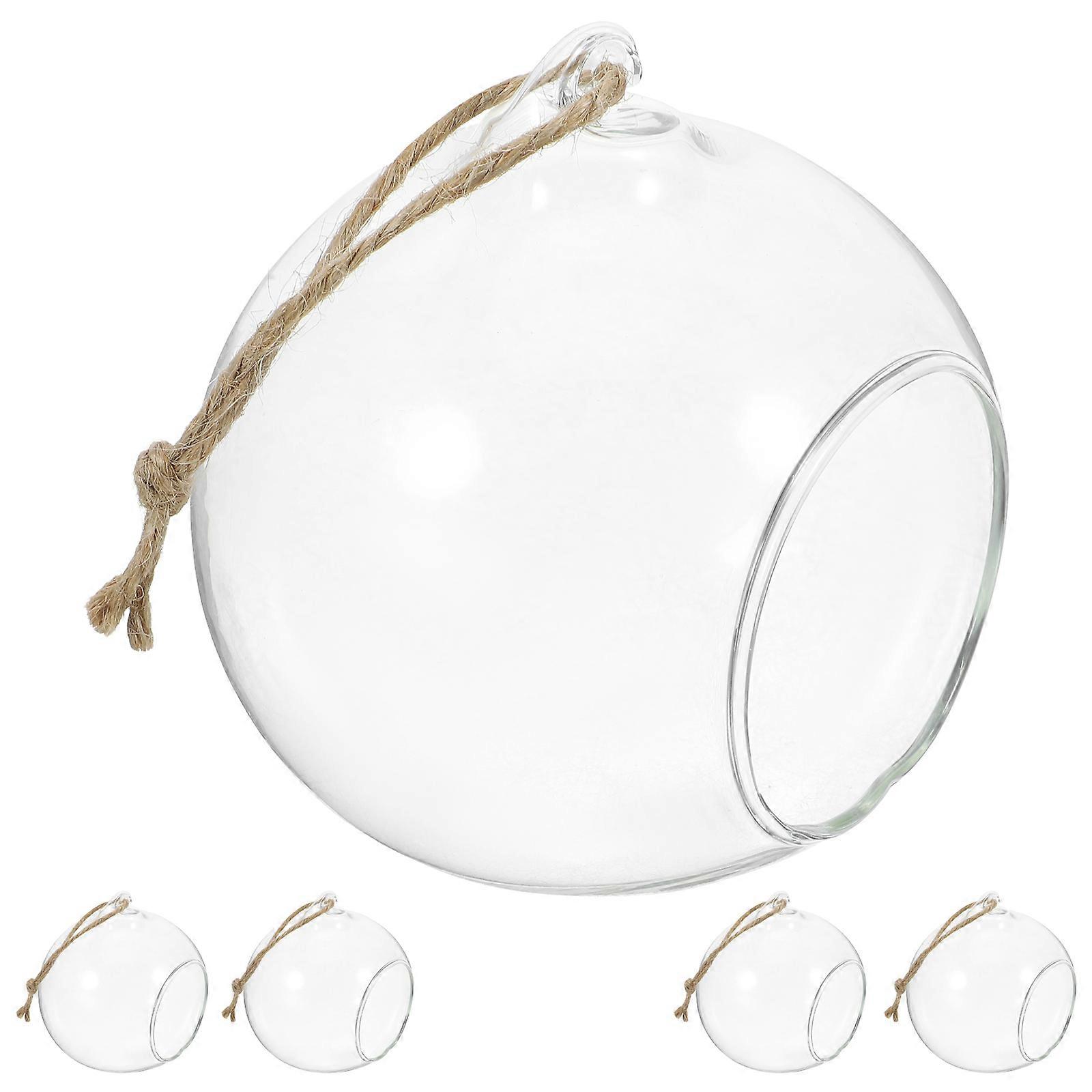 It looks like your message got cut off, but craft a complete and engaging product description or title for **"Hanging Glass Ball Terrariums with