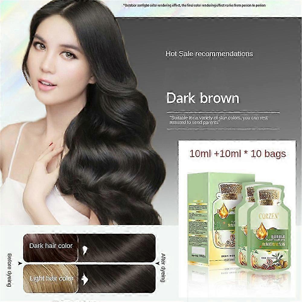 天然植物ヘアカラーチェンジバブルヘア染料10袋入りボックス、それぞれ10個入り