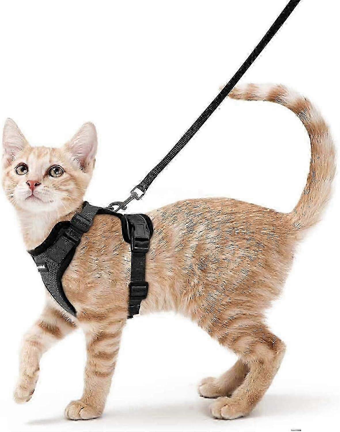 2025 Latest Model Cat Harness And Leash For Walking, Escape Proof Soft Adjustable Vest Har