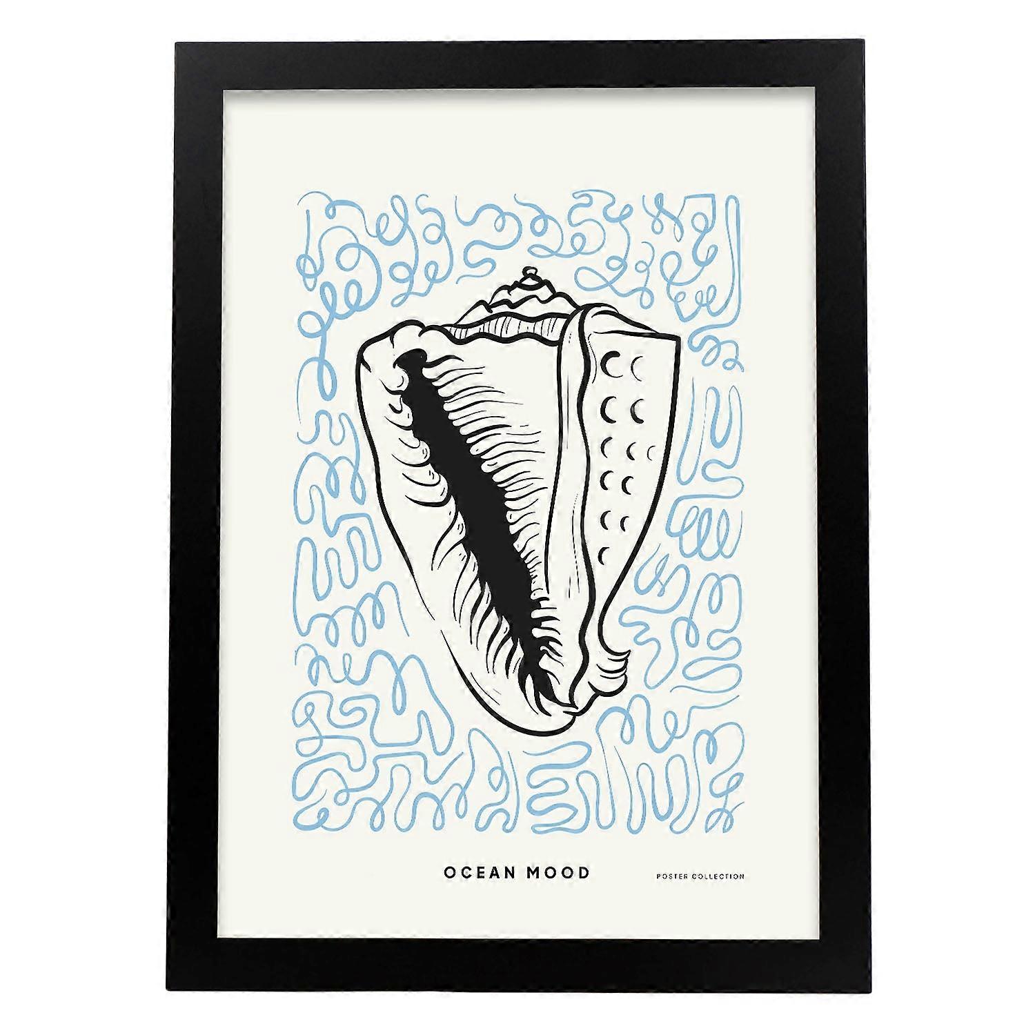 Affiche de conque géante