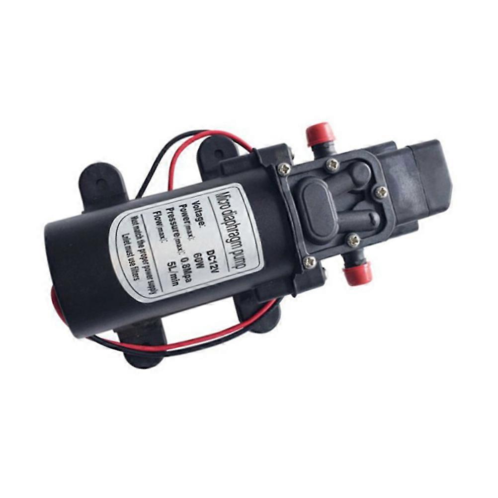 Self Priming Water Pump Automatic Function 3Pcs 12V 60W Mini Car Washing Pump