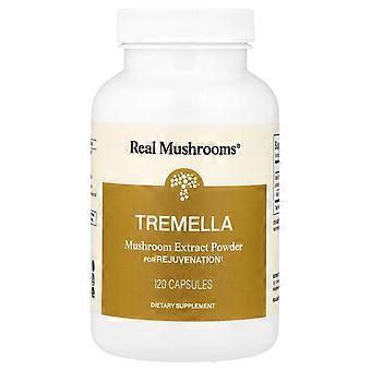 Real Mushrooms, Tremella, Rejuvenation, 120 Capsules