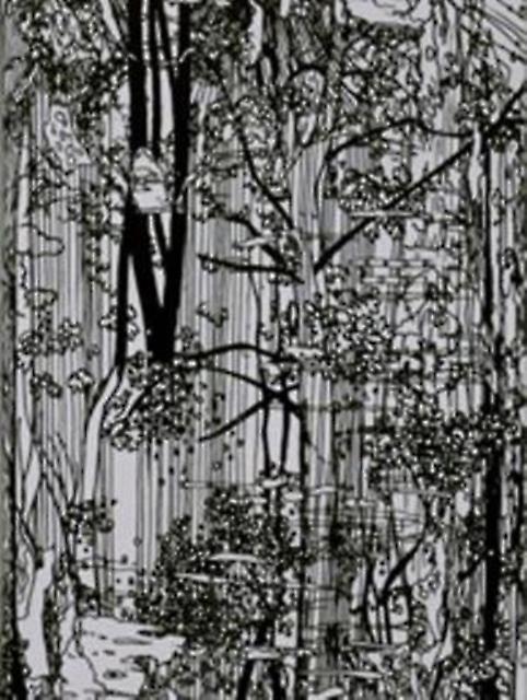 Bucherwald by Ingo Giezwndanner Paperback