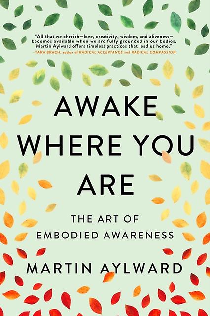 Awake Where You Are by Martin Aylward Paperback Book