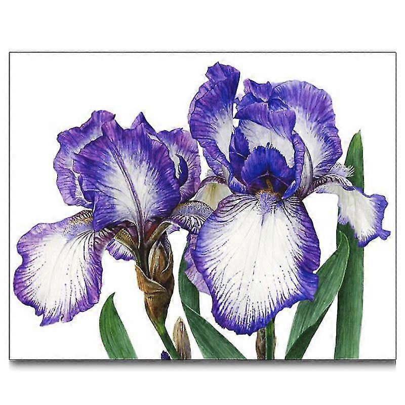 القزحية الماس اللوحة الكاملة الحفر الصليب غرزة مجموعات الماس التطريز صور من أحجار الراين اللوحة بالأرقام زهرة