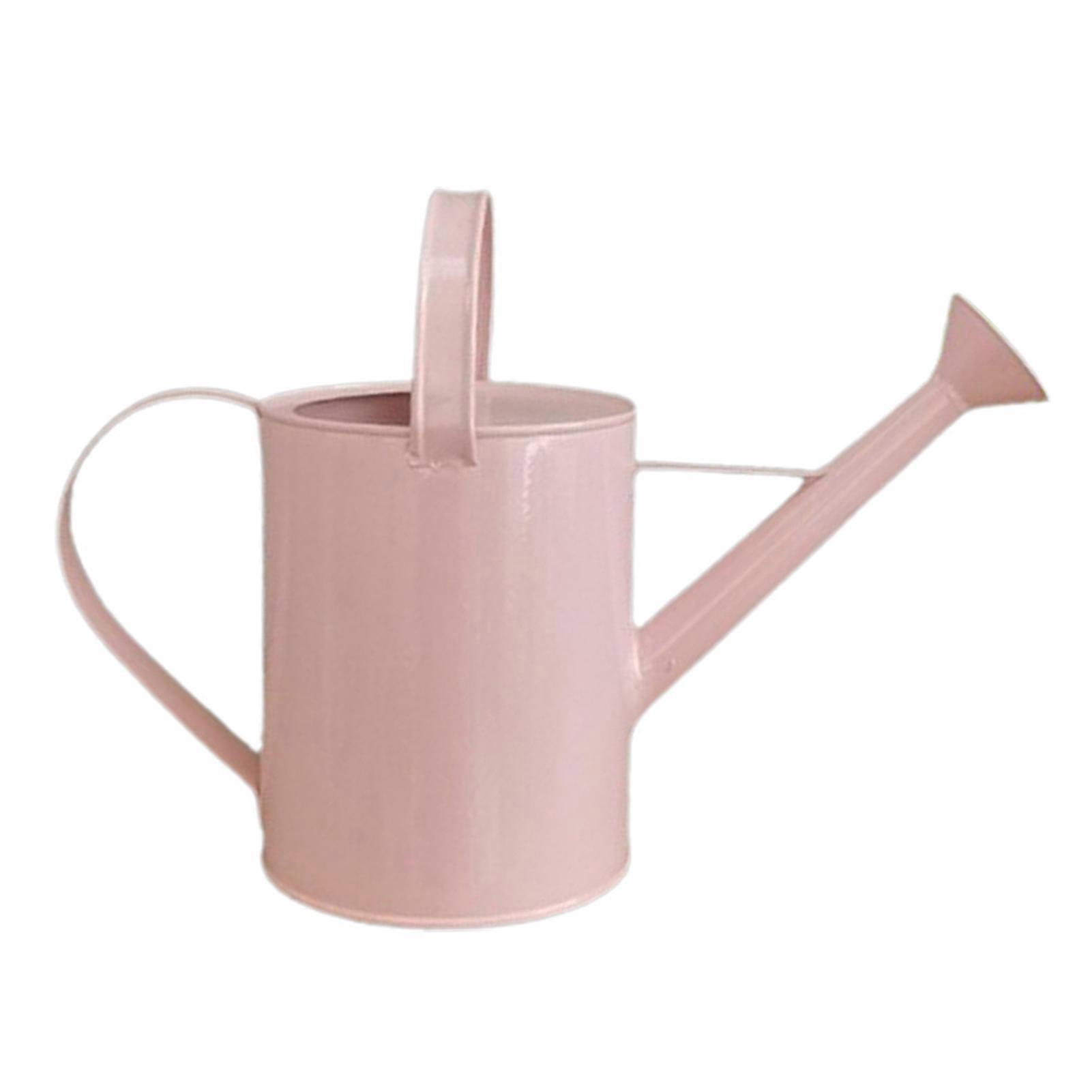 1.65L Watering Can with Handle Metal Plant Watering Bottle Large Capacity Rustproof Corrosion Resistant Plants Watering Spray Bottle