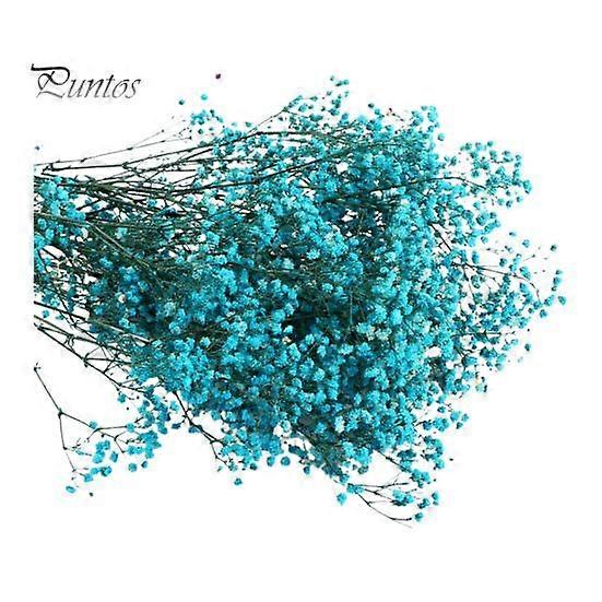 Aeonium Bouquet Dried Flowers Vibrant Color Non-fading Easy Maintenance Natural Dried Gypsophila Valentine's Day Decoration Scene