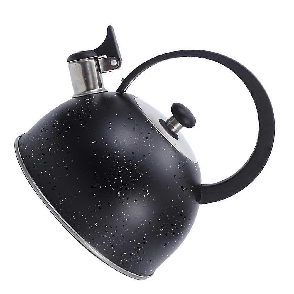 Stainless Steel Kettle for Storage and Tea Pot with Whistle Feature 1.5L