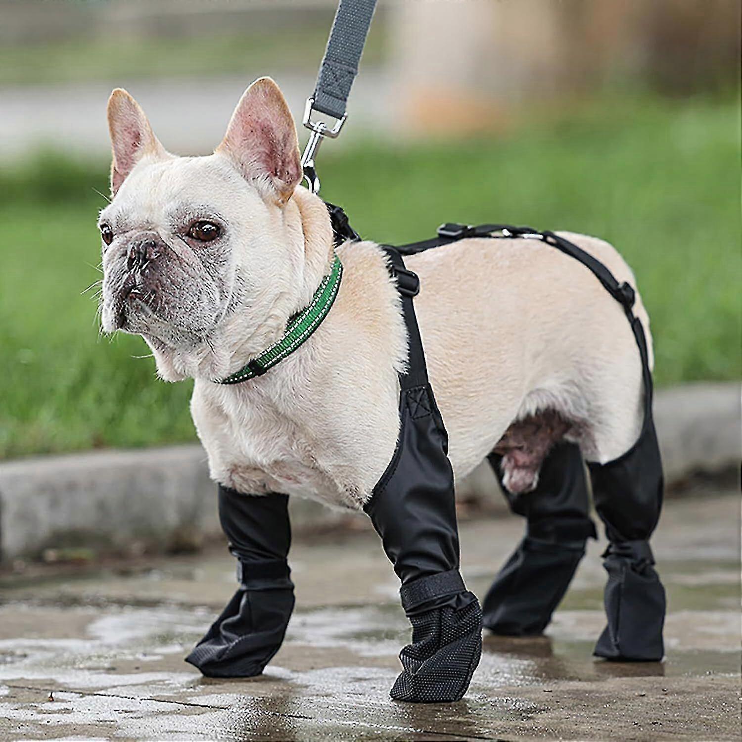 Buty do pończoch dla psów, regulowane spodnie dla psów, ochraniacz łap dla psów