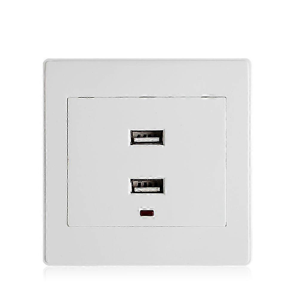 Dual USB Wall Socket Charger Plate, AC/DC Power Adapter Plug Outlet Panel