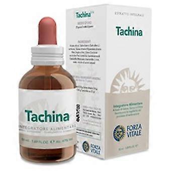 China Compost 50 ml