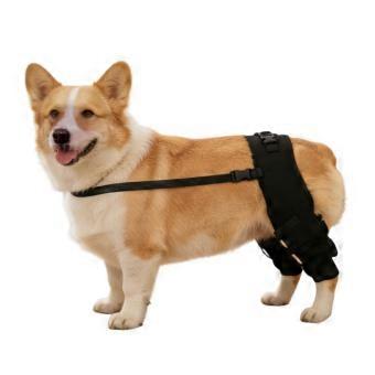 Two-Sleeve Dog Rear Leg Brace with Wraparound Rear-Body Coverage and Multiple Securing Closures for Covered-Leg Care  XS