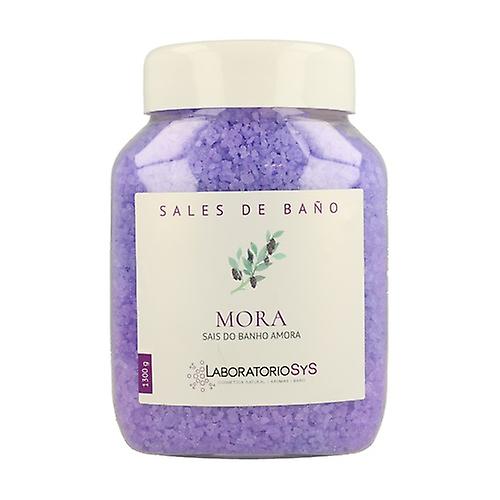 Bath Salts (Blackberry) 1300 g