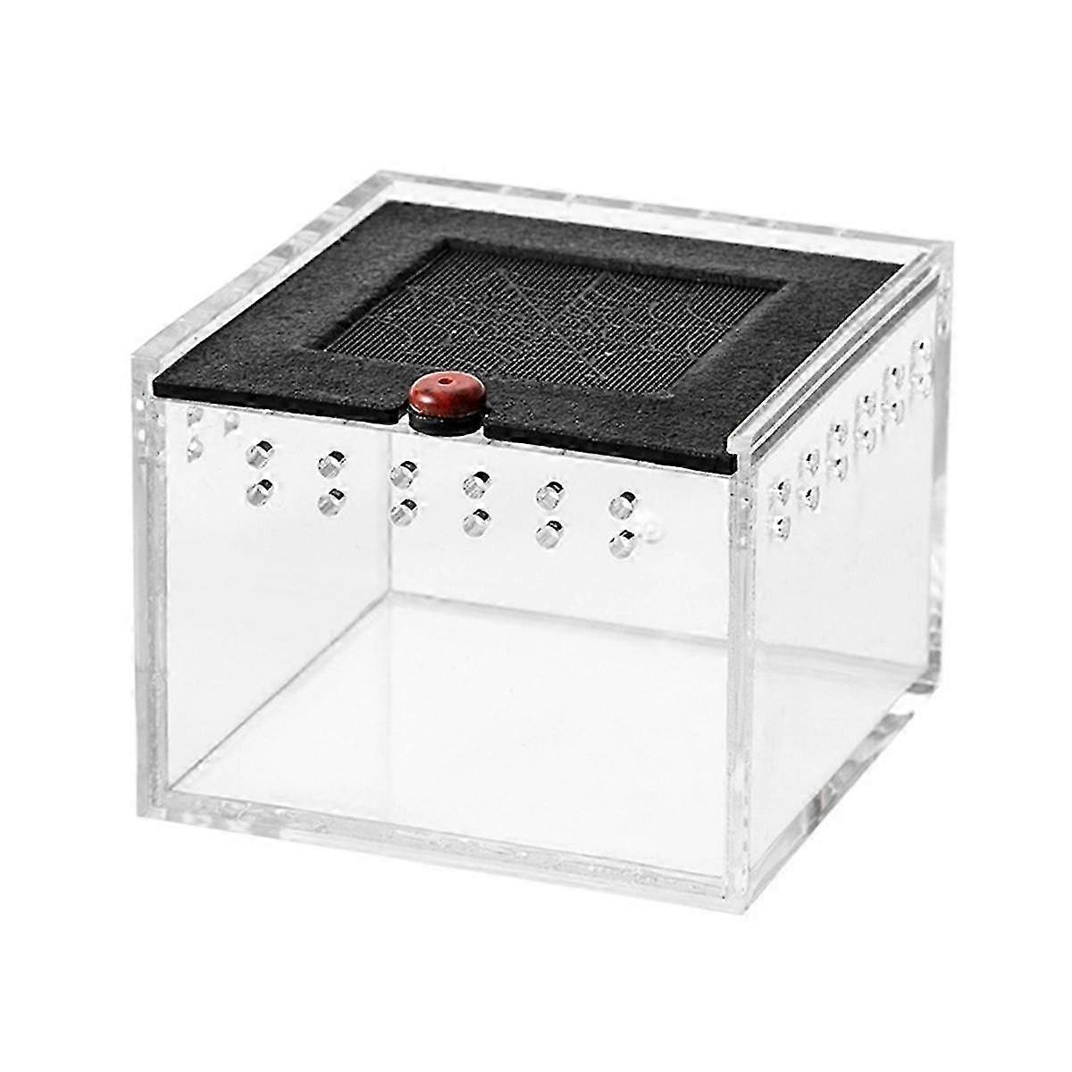 Spider Enclosure Small Insect Breeding Box Prevent Escape Reptile Terrarium Insect Feeding Cage C