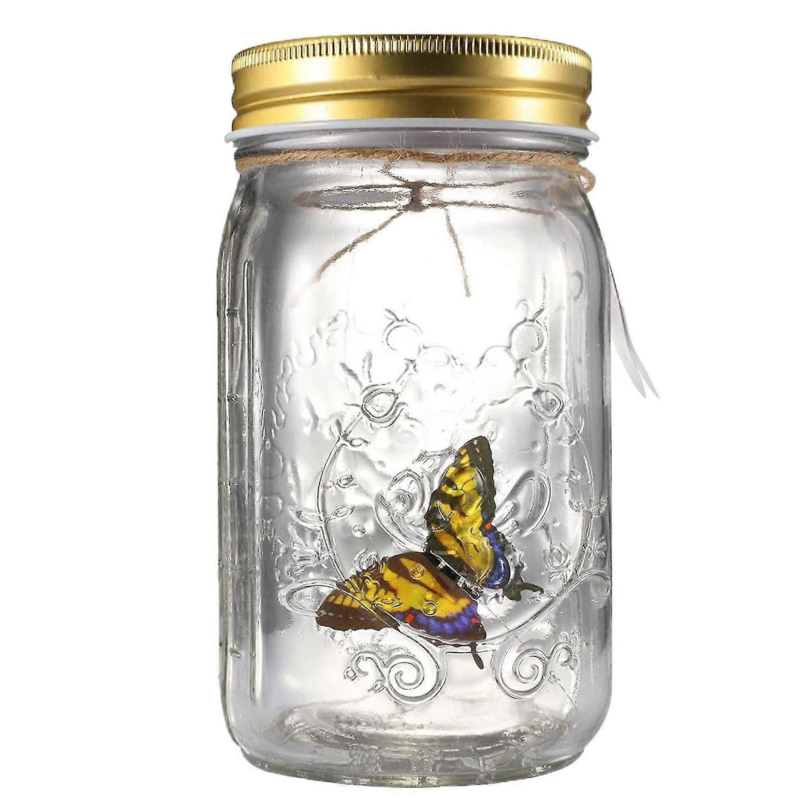 Butterfly Collection Jar Lamp Borboleta Voadora com Luzes LED para a Família e Amigos Presente