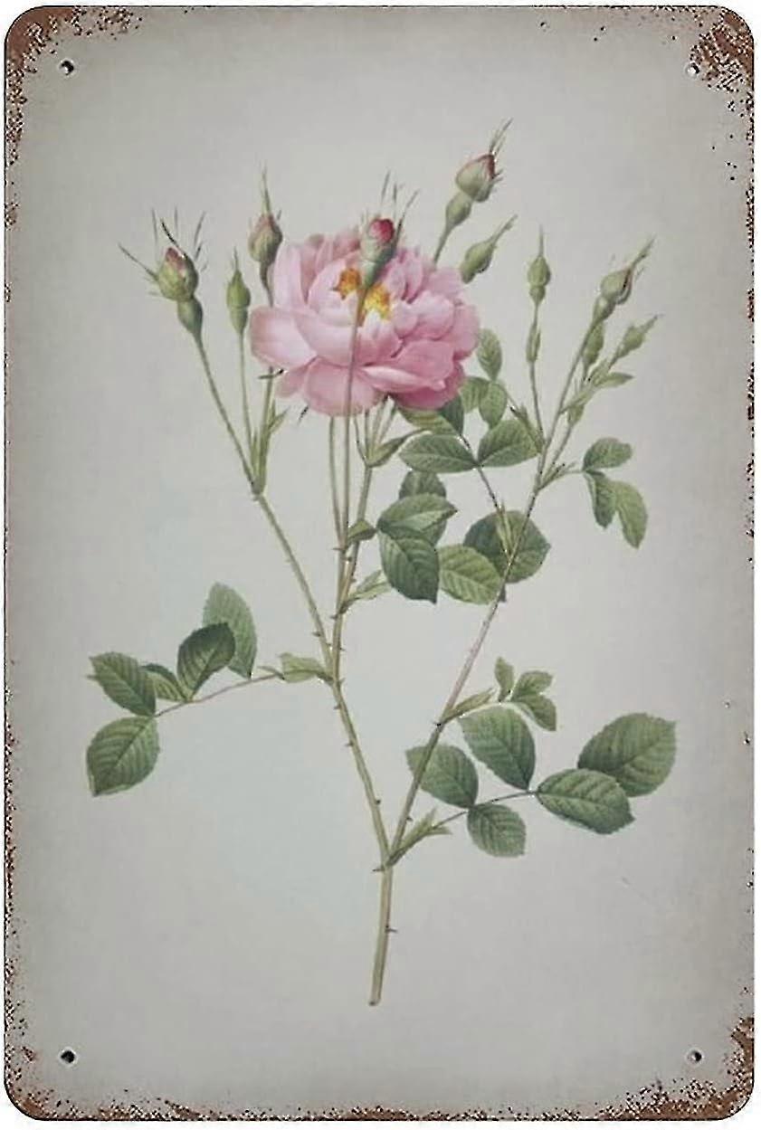 Placa de Metal Allium Scorzonera Folium Decoração 8x12 Polegadas OU 12x16 Polegadas Modo 1946