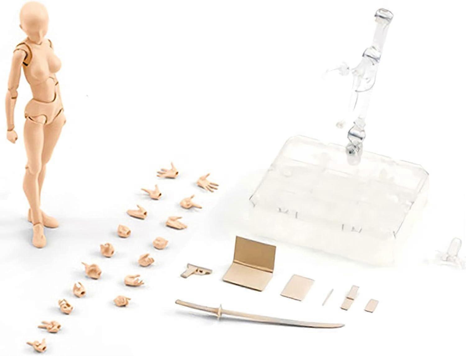 Desktop Movable Joints Model, Action Decor DIY Arts Full Joint Movable Doll Model Toy, DIY Arts Full Joint Movable Doll Model Toy Action Dolls Collect