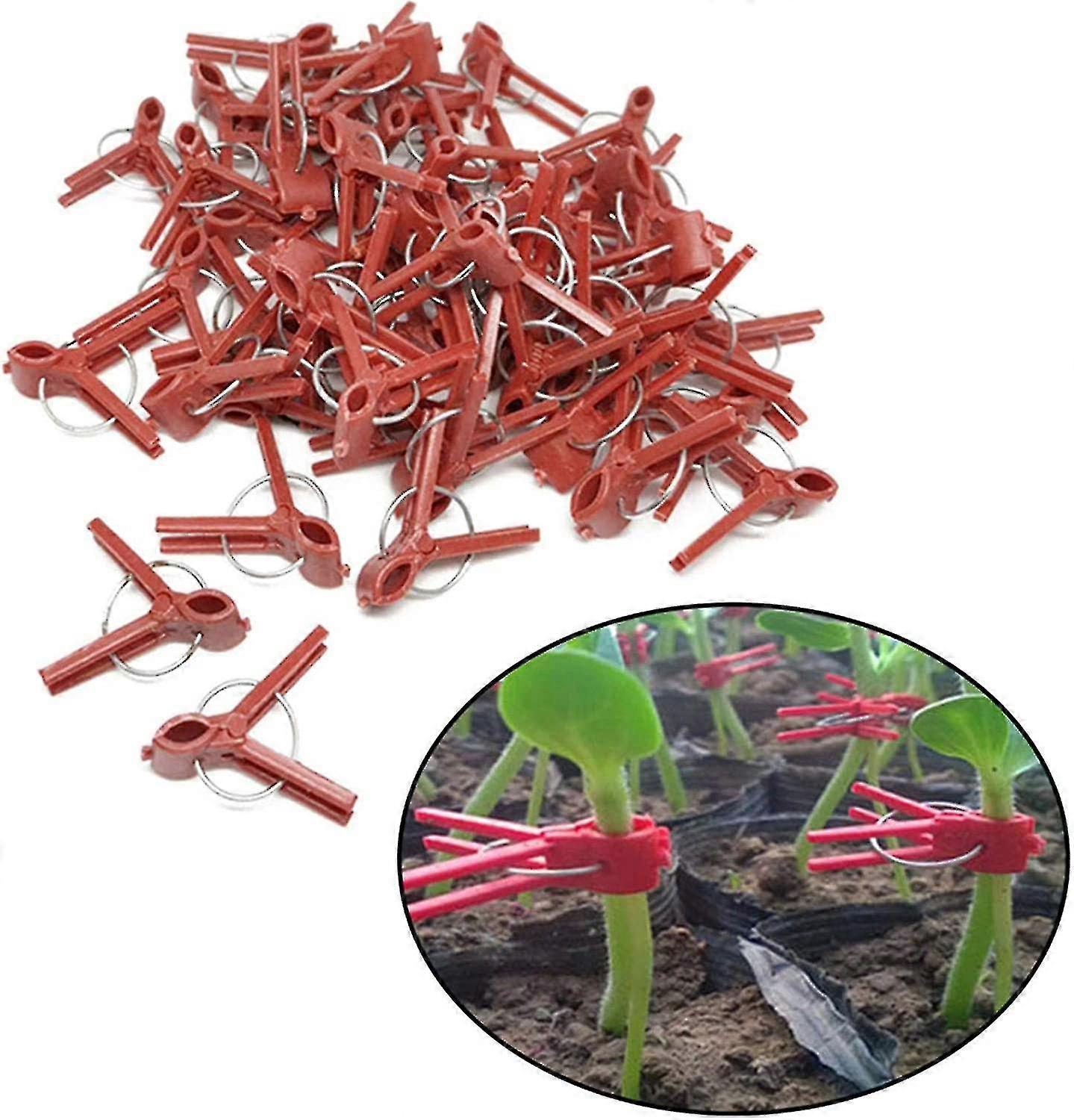 Tomat Poding Clip Seedling Poding Clip Aubergine Poding Clip 100 stk Round Mouth Poding Clip