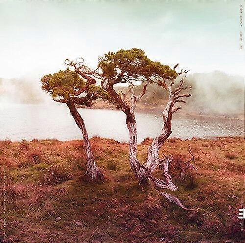Slowly Rolling Camera Juniper CD (2018) NEW