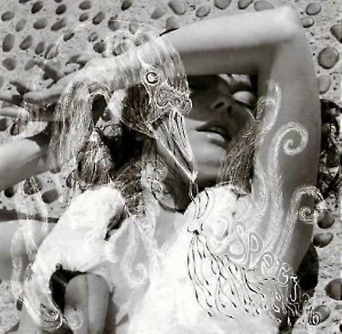 Bjork Vespertine CD