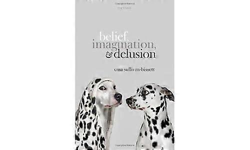 Belief Imagination and Delusion
