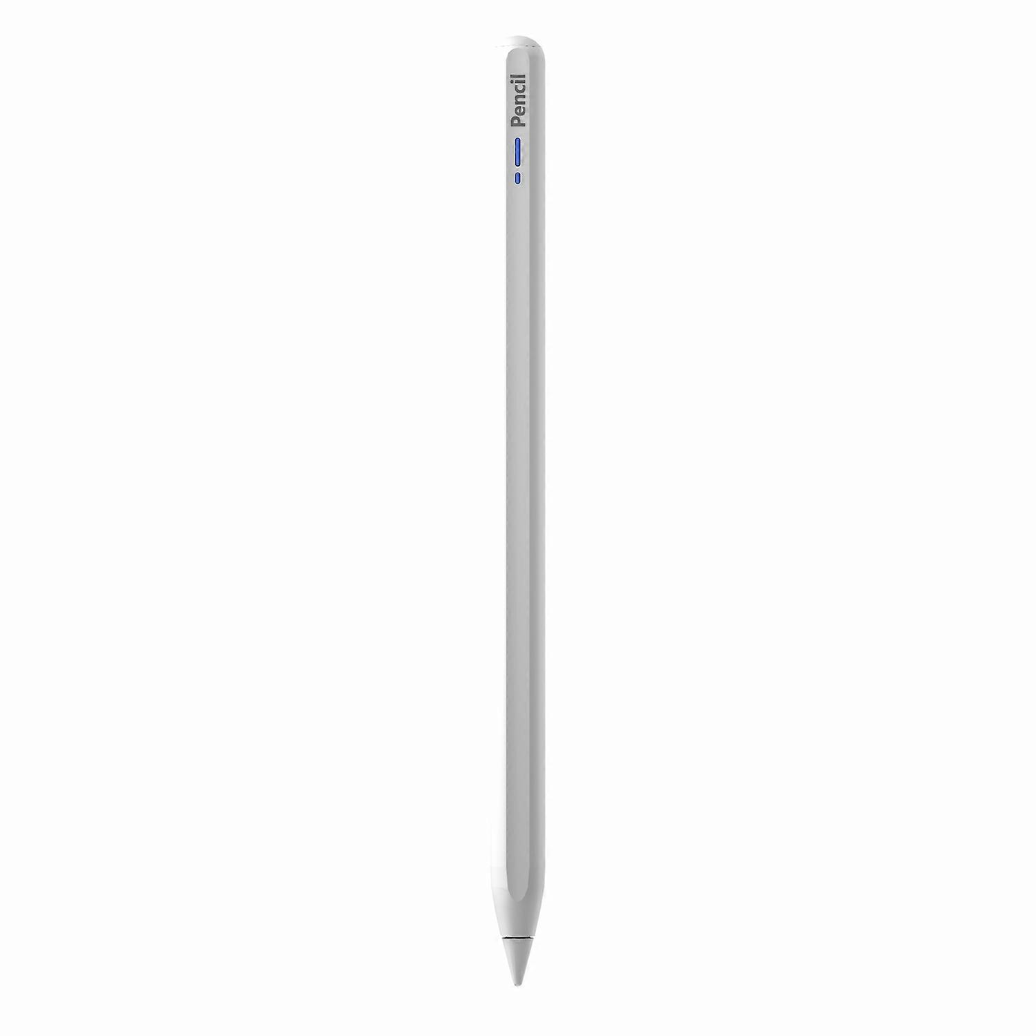 Stylus for iPad Pro 12.9 (2021)